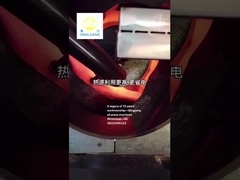 Ροστάρ σπόρων qingjiang για μηχανές πετρελαϊκής πρέσας θερμής πρέσας