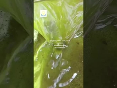 Μηχανή πρέσβωσης ελαίου από σπόρους ηλιέλου