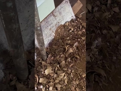 Κρύο πετρέλαιο σπόρων σταφυλιών