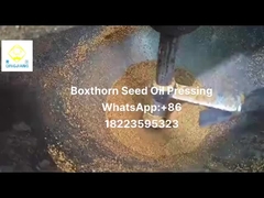 εξαγωγέας πετρελαίου ψυχρής πίεσης